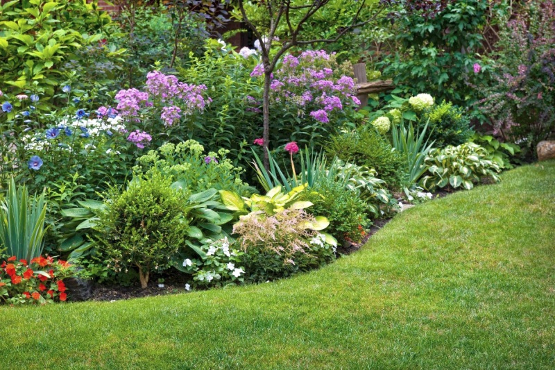 Ideas for Your Terraced House Garden 